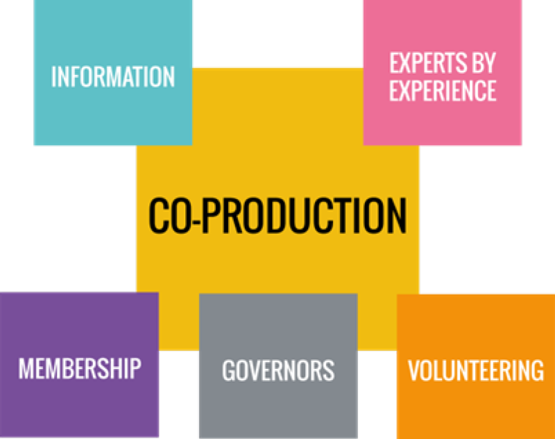 The new patient and public involvement strategy has joined together the Involvement Team, Foundation Trust team and Volunteer Team to encourage cross promotion and positive structure building for involvement and co-production. This image showcases NHFT's different elements of involvement