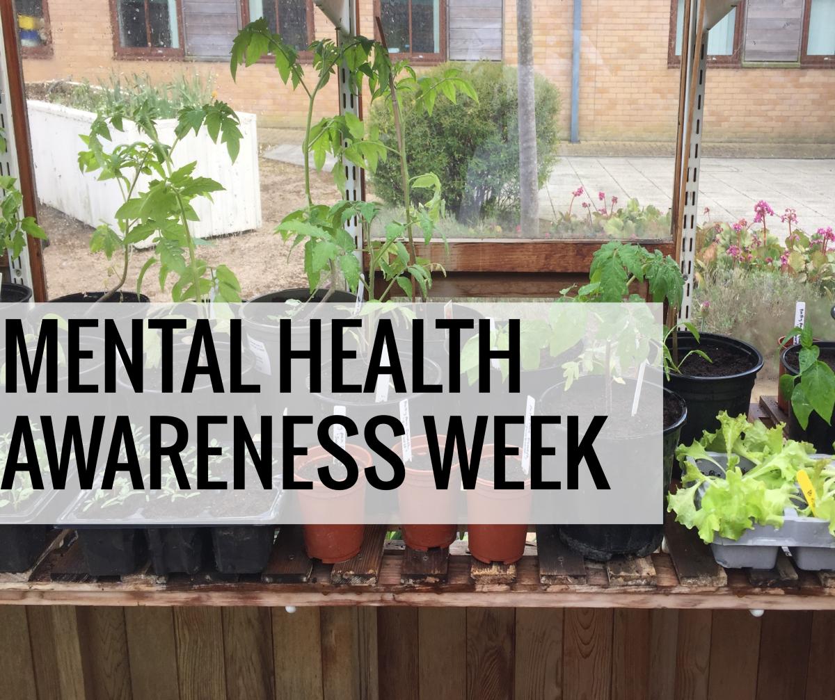 Mental Health Week