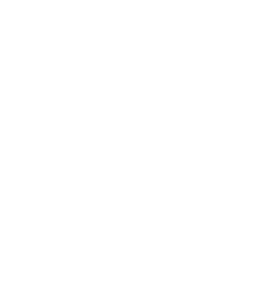 An icon of a lightbulb