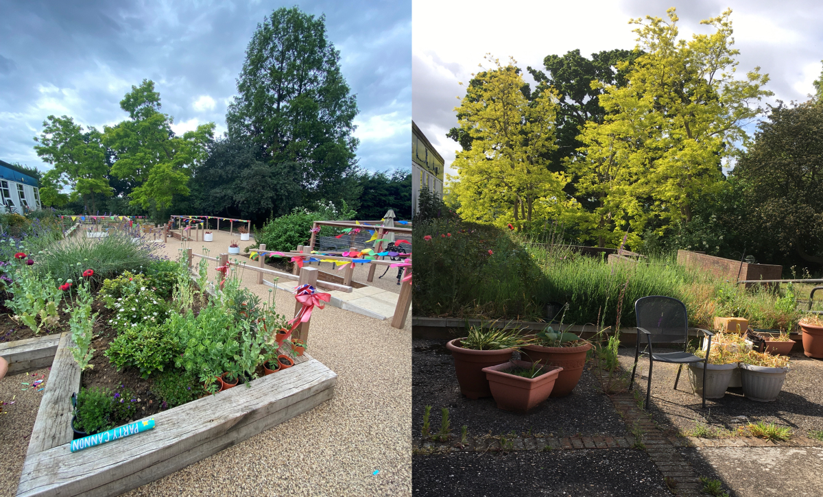 before and after photo of the garden transformation