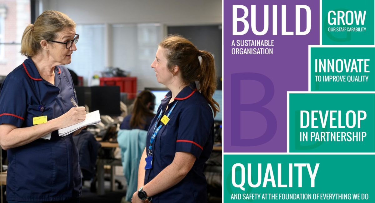 DIGBQ website banner for NHFT homepage