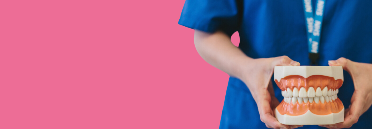 A close-up of a dental nurse holding a model of a set of teeth against a pink background